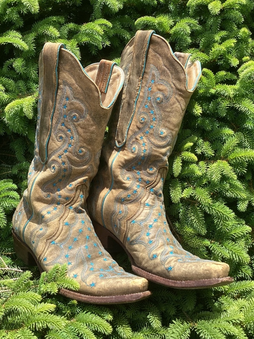 Old Gringo Outstanding Unique Small Blue Star Detailed Distressed Cowgirl Boots - Picture 4 of 16